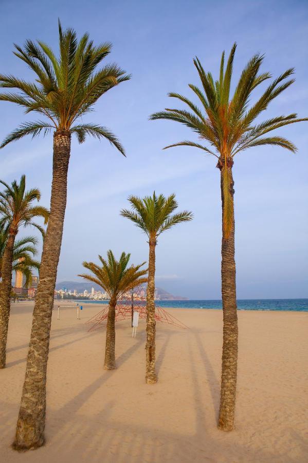 ibis budget Alicante Eksteriør billede